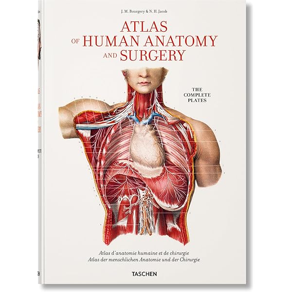 atlas of human anatomy and surgery 解剖学書 Bourgery : Atlas of Human Anatomy and Surgery / Taschen 解剖