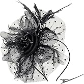 Yunpwag Women's 20s 50s Feather Mesh Pillbox Fascinator Hats for Women Wedding Tea Party Church with Headband and Clip