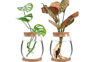 Biggun Plants Propagation Station - 2Pcs Desktop Plant Terrarium Glass Hydroponic Vases, Water Plant Jars, Gardening Gifts for Women Mom Plant Lovers (Water Drop Shape, Separated Tray Style)