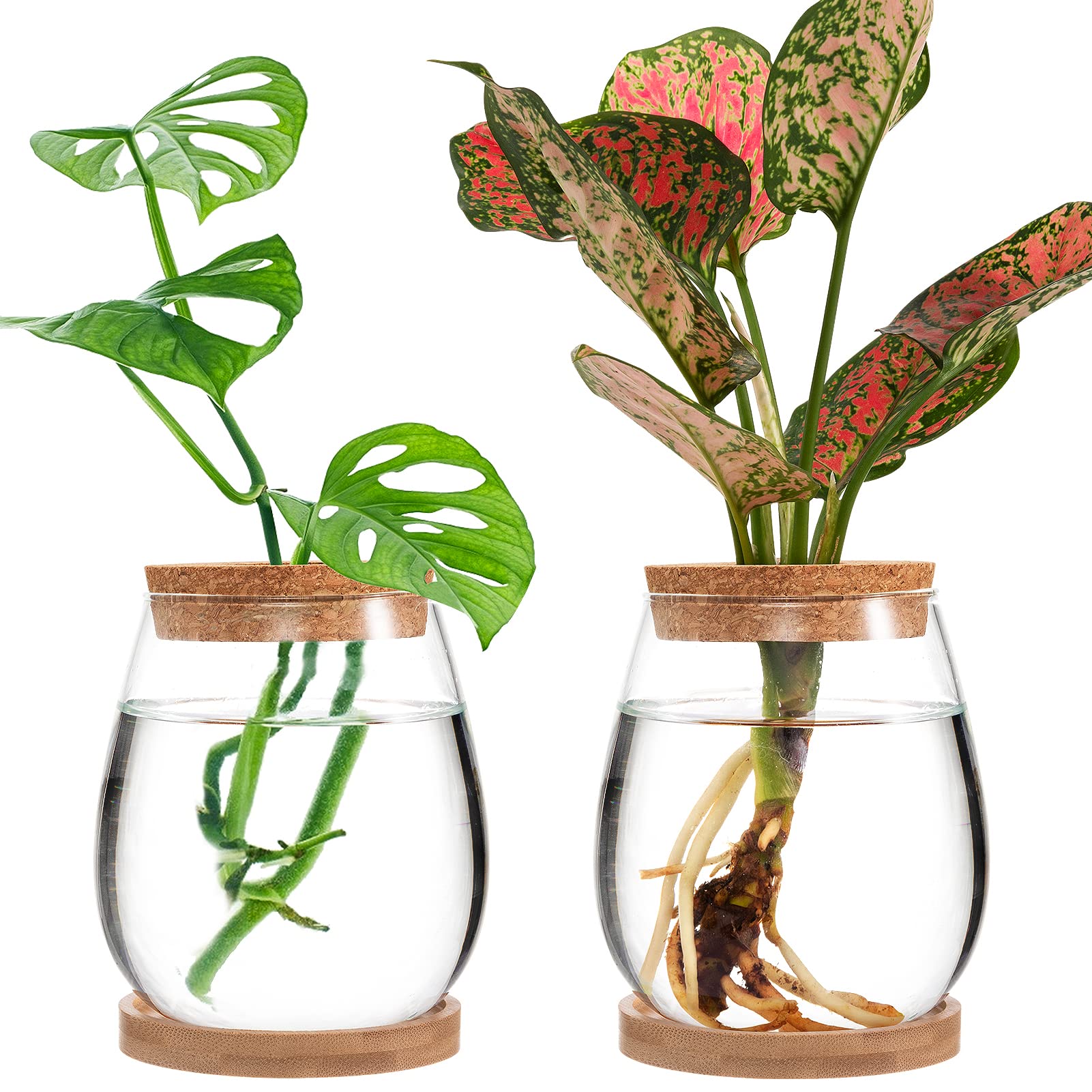 Photo 1 of Biggun Plants Propagation Station - 2Pcs Desktop Plant Terrarium Glass Hydroponic Vases, Water Plant Jars, Gardening Gifts for Women Mom Plant Lovers (Water Drop Shape, Separated Tray Style)