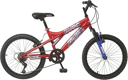 pacific evolution 24 inch boy's mountain bike