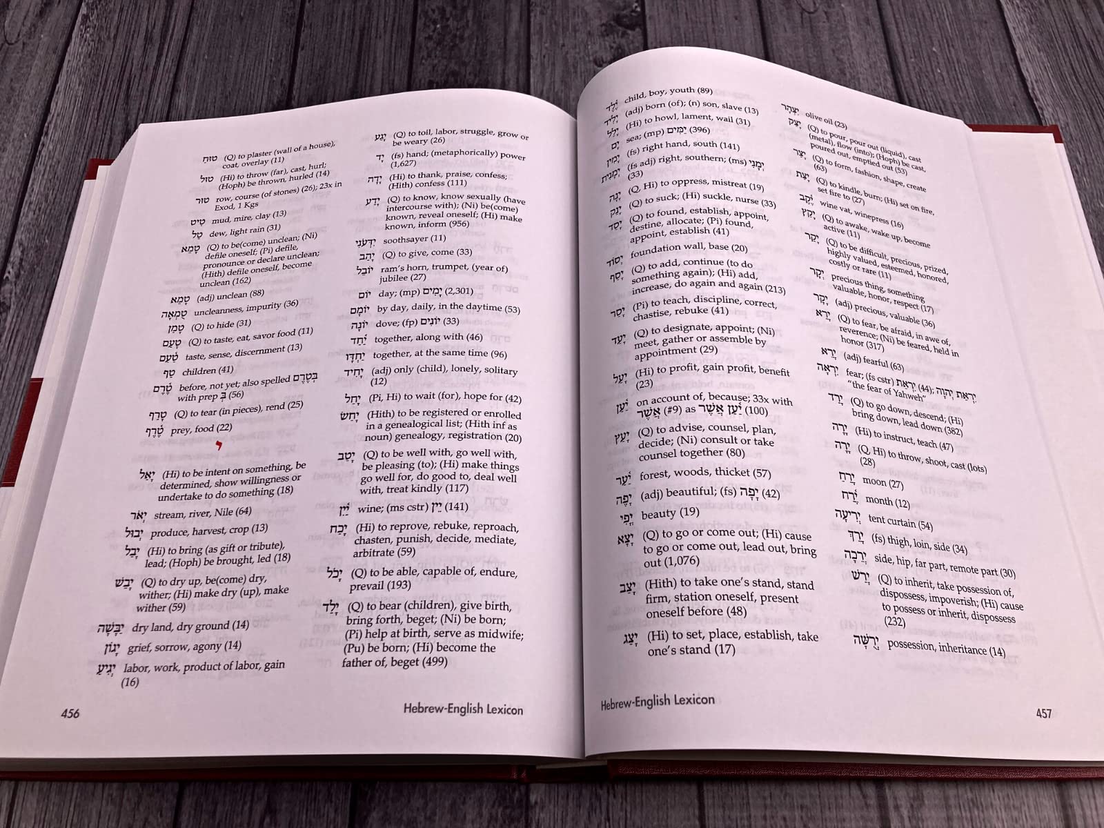 Basics of Biblical Hebrew Grammar: Third Edition (Zondervan Language Basics Series)