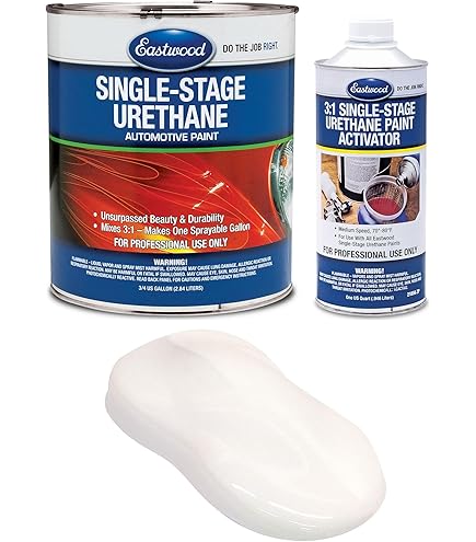 Amazon.com: Eastwood 3:1 USA Bright White Single Stage Automotive