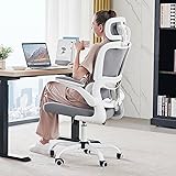 TRALT Office Chair Ergonomic Desk Chair, 330 LBS