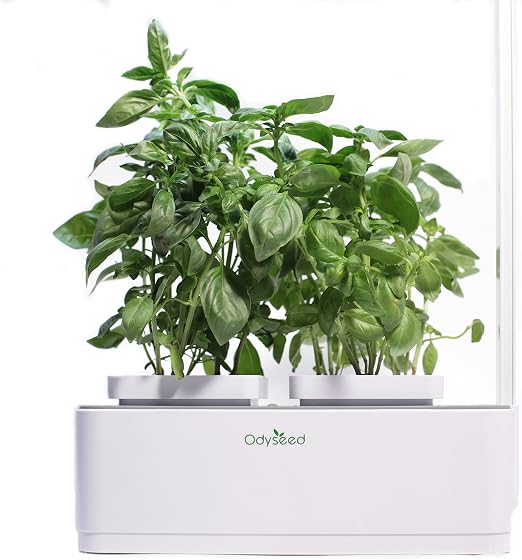 Odyseed, Huerta Interior 100% orgánica-Cultiva Tus Hierbas ...