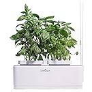 Odyseed Eden - Hausgarten - Ziehen Sie Ihre eigenen aromatischen Kräuter zuhause - Keine Kapseln - Substrat & Samen bereits enthalten (Zitronen-Basilikum & Zimt-Basilikum)