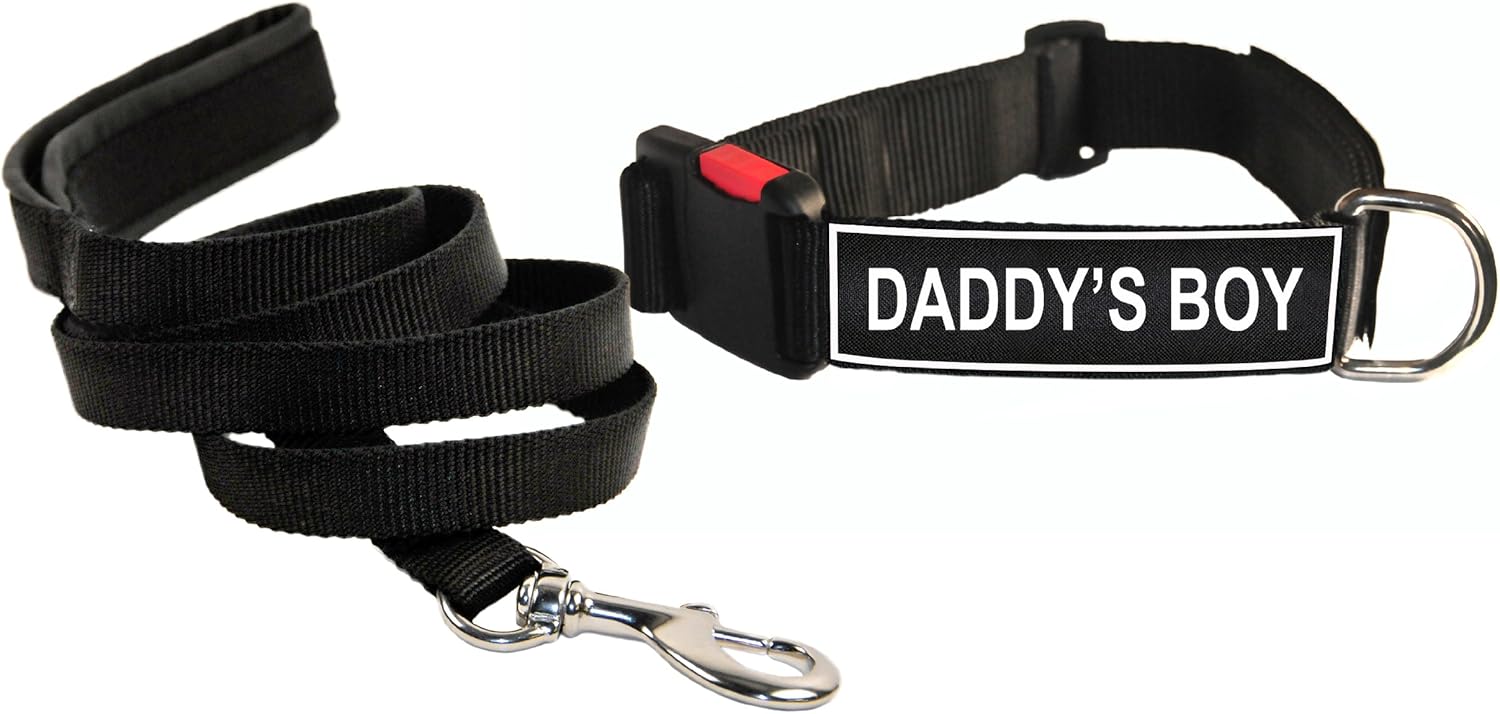 boy puppy collars and leashes
