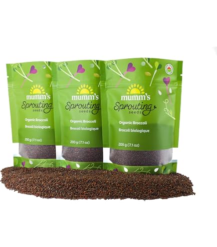 Mumm's Ruby Stem Radish Sprouting Seeds - 200g Certified Organic, Non-GMO Sprout Seeds
