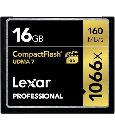 Amazon.com: Lexar Professional 800x 16GB CompactFlash Memory Card