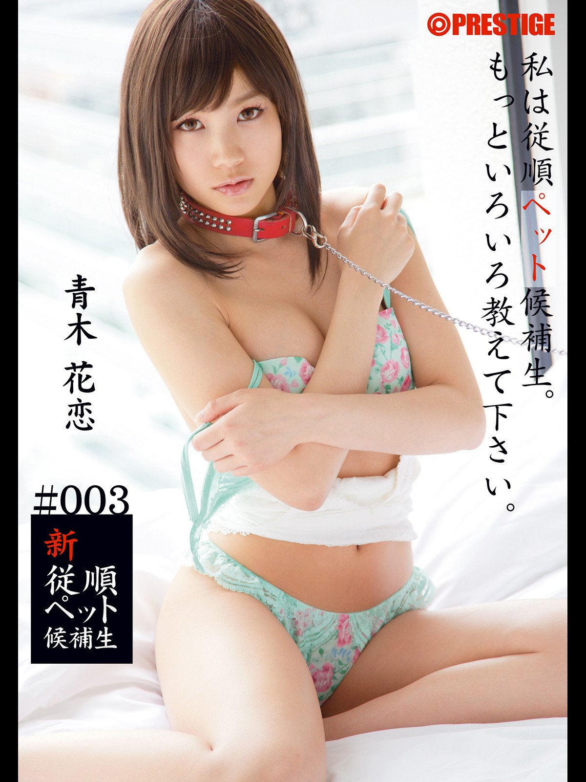 Karen Aoki Jav