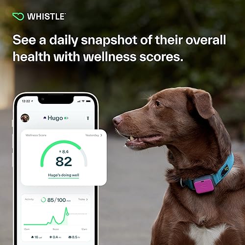 Whistle Fitness Tracker For Dogs Whistle GPS Health Fitness