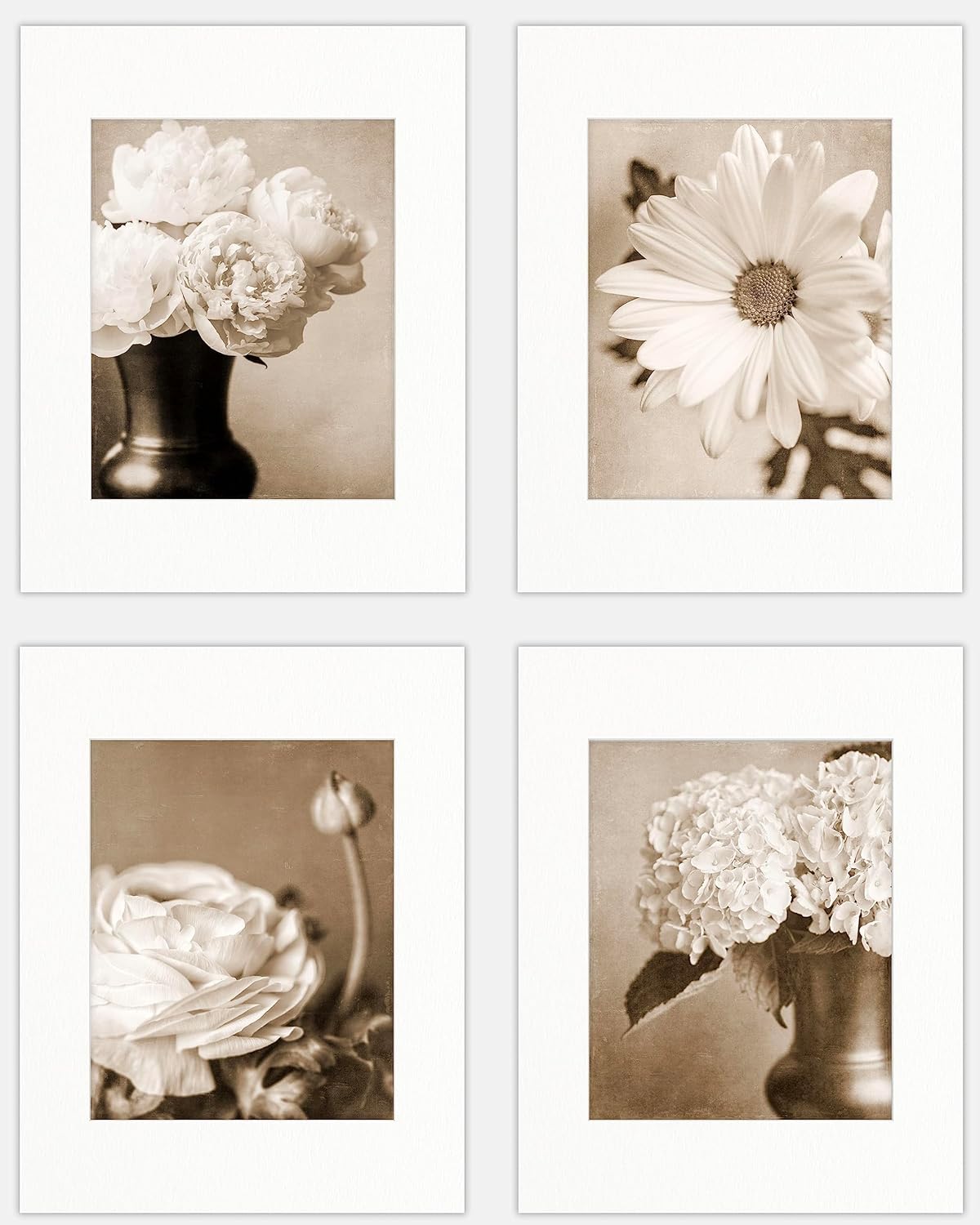 Photographs - LISA RUSSO FINE ART - Sepia Flowers Wall Art Prints - Set of 4 5x7” Unframed Photographs with 8x10” White Mats - Vintage Look Floral Artwork for Bathroom, Bedroom, Office Home Decor