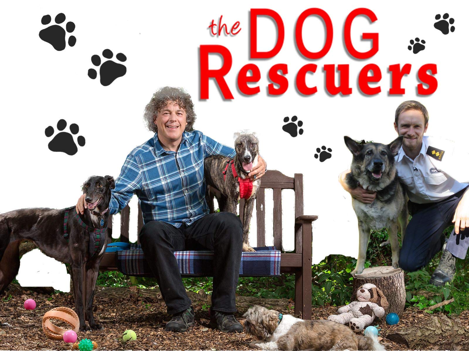 the dog rescuers with alan davies