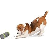 PetSafe Automatic Dog Toys for Bored Dogs - Electronic, Interactive Dog Toys to Keep Pets Entertained - Automatic Ball Launch
