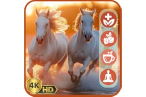 Caballos Majestuosos – Salvapantallas relajante de caballos para el fondo de la TV