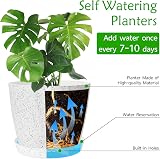 CSYY 6-Pack Plant Pots Indoor Outdoor Self Watering Tray view 5