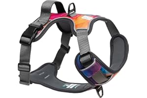 EMBARK PETS Embark Adventure Dog Harness, Reflective Trim No Pull Dog Harnesses for Small Sized Dogs - Military Grade Nylon, Front Clip with Gel Lined Handle. Soft & Padded Puppy