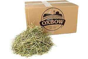 Oxbow Animal Health Western Timothy Hay for Pets, 25-Pound