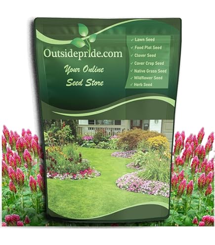 Amazon.com : Dalkeith Subterranean Clover Seed (1 Lb.) : Patio