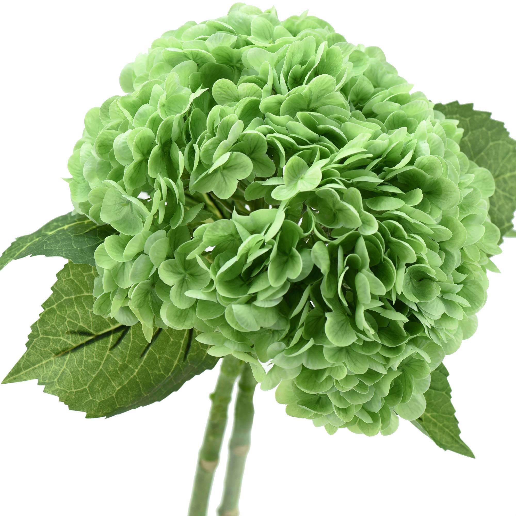 FiveSeasonStuff Real Touch Silk Green Hydrangea Flowers, 2 Large Long Stems Artificial Flowers for Floral Decoration Arrangements