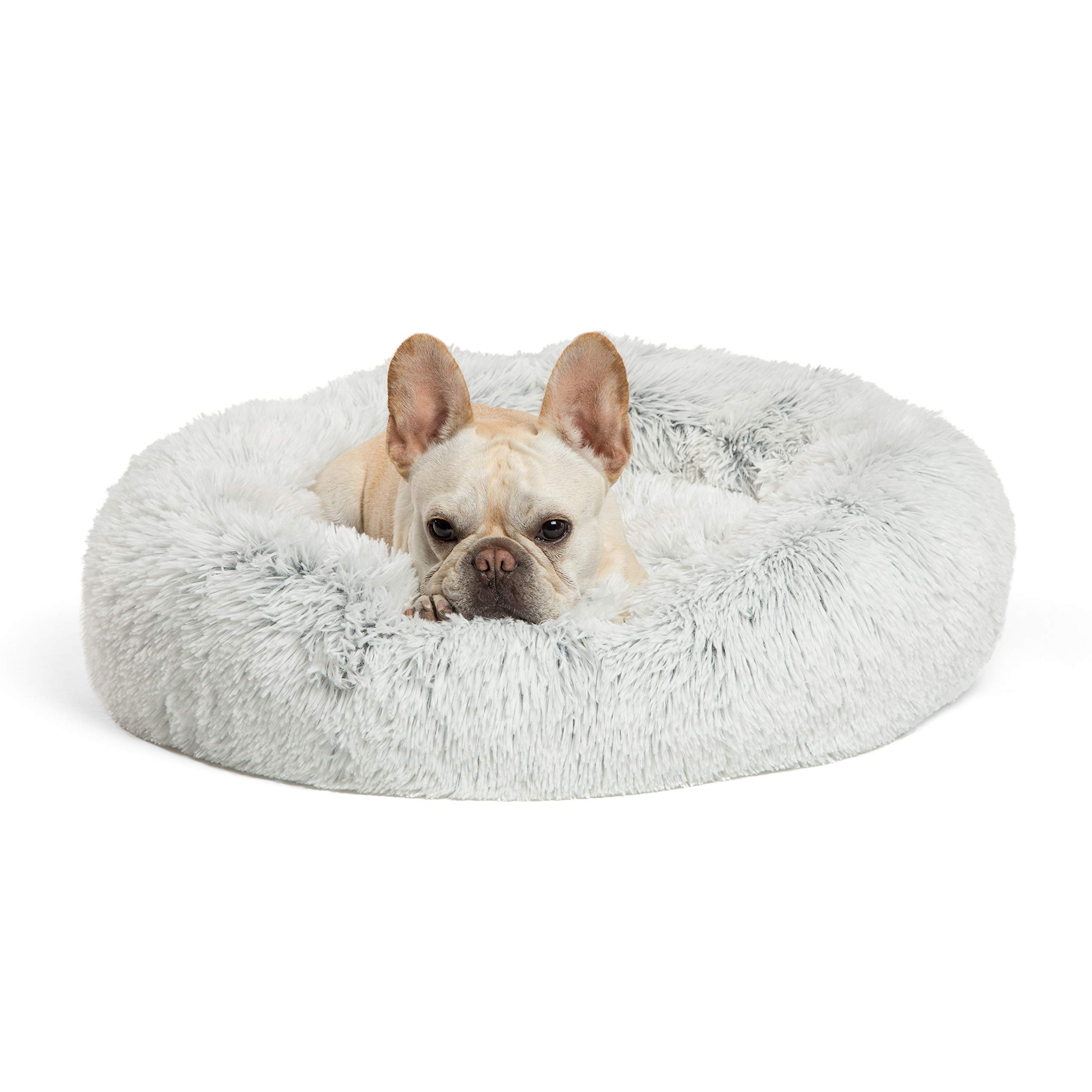 9 Best Dog Beds For A Pomeranians With FAQs SPIRE PET