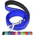 FunTags 6FT /4FT Reflective Nylon Dog Leash with Soft Padded Handle for Training,Walking Lead for Large, Medium & Small Dogs