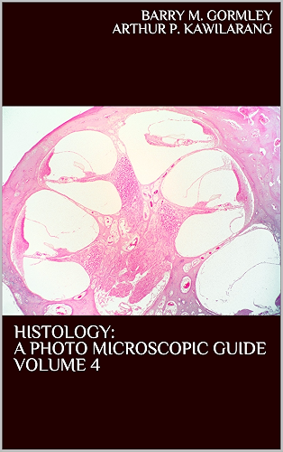 Download HISTOLOGY: A PHOTO MICROSCOPIC GUIDE VOLUME 4 (English Edition) PDF