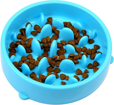 H&S Slow Feeder Dog Bowl - Gradual Feeding Bowl for Dogs Cats Puppies
