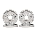 Deep Dish 2-Inch Olympic Cast Iron Weight Plates