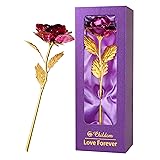 Childom Birthday Gifts for Women,Christmas Rose