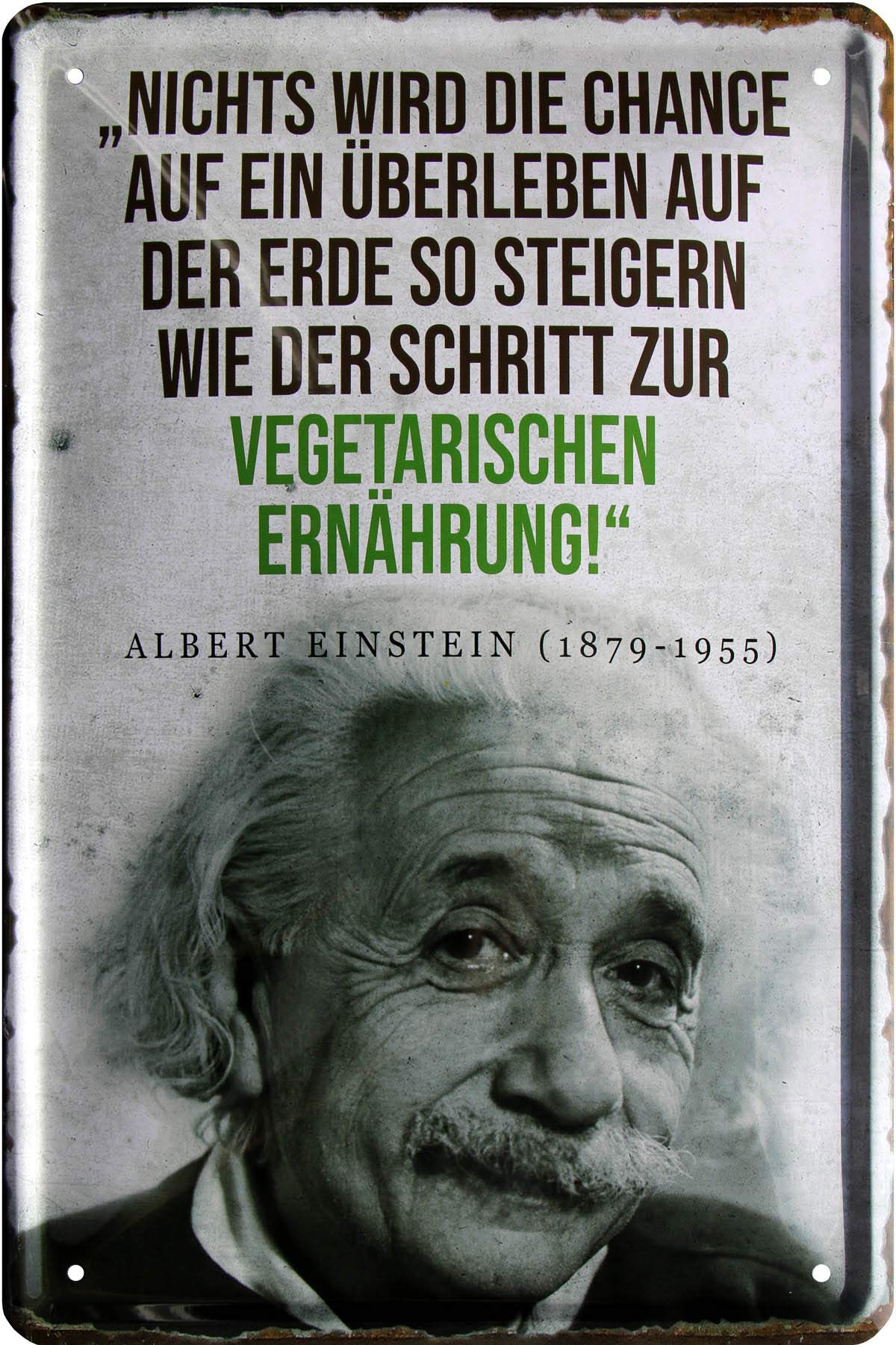 Albert Einstein 759 Sheet Metal Sign with Step to Vegetarian Nutrition 20 x 30 cm