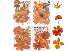 Woohome 4 Pack Dried Flowers for Resin Molds, 85 Pcs Real Natural Dried Pressed Flowers, Orange Natural Dried Pressed Leaves for Pressed Leaf Art Craft DIY Embellishment Decorations