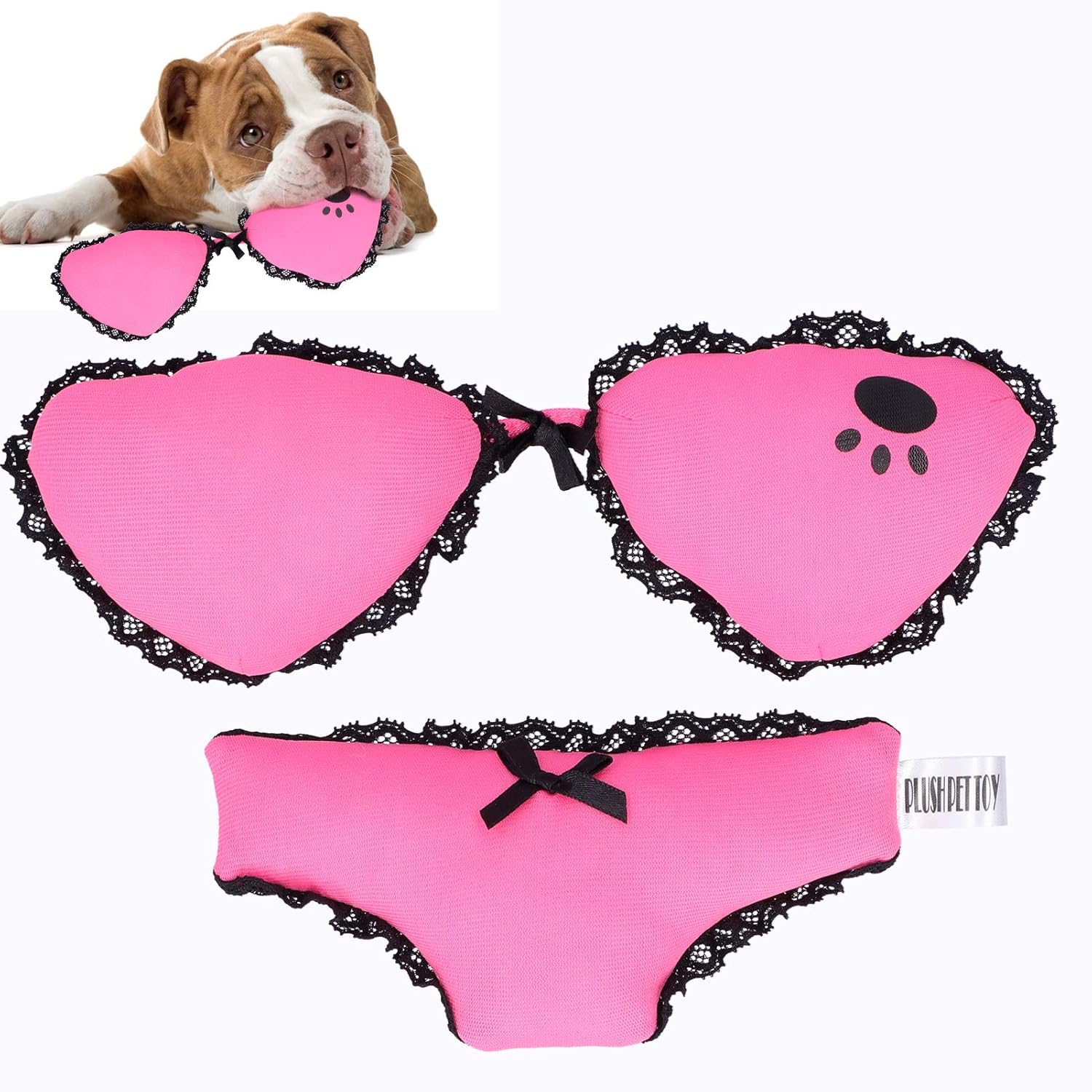 お洒落 ビキニ型のペット遊びおもちゃ 犬との相互作用の楽しみのために 音で耐久性のあるきしむ犬を噛むインタラクティブなおもちゃを設定しま プライスダウン30 Off Diquinsa Com Mx