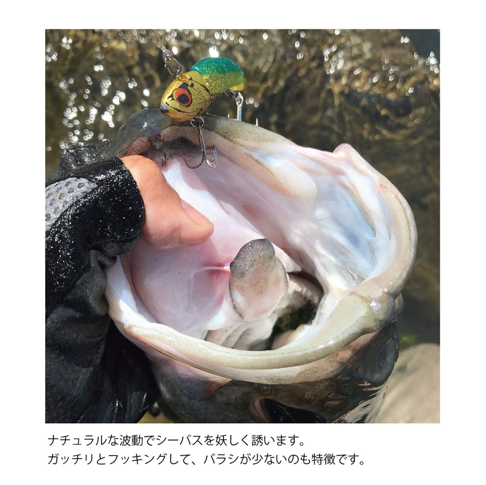 Mua Coreman コアマン ワーム Vj 16 バイブレーションジグヘッド Tren Amazon Nhật Chinh Hang 21 Fado