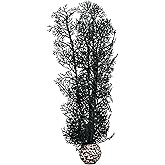 BiOrb 46097.0 Sea Fan Medium Black Aquariums