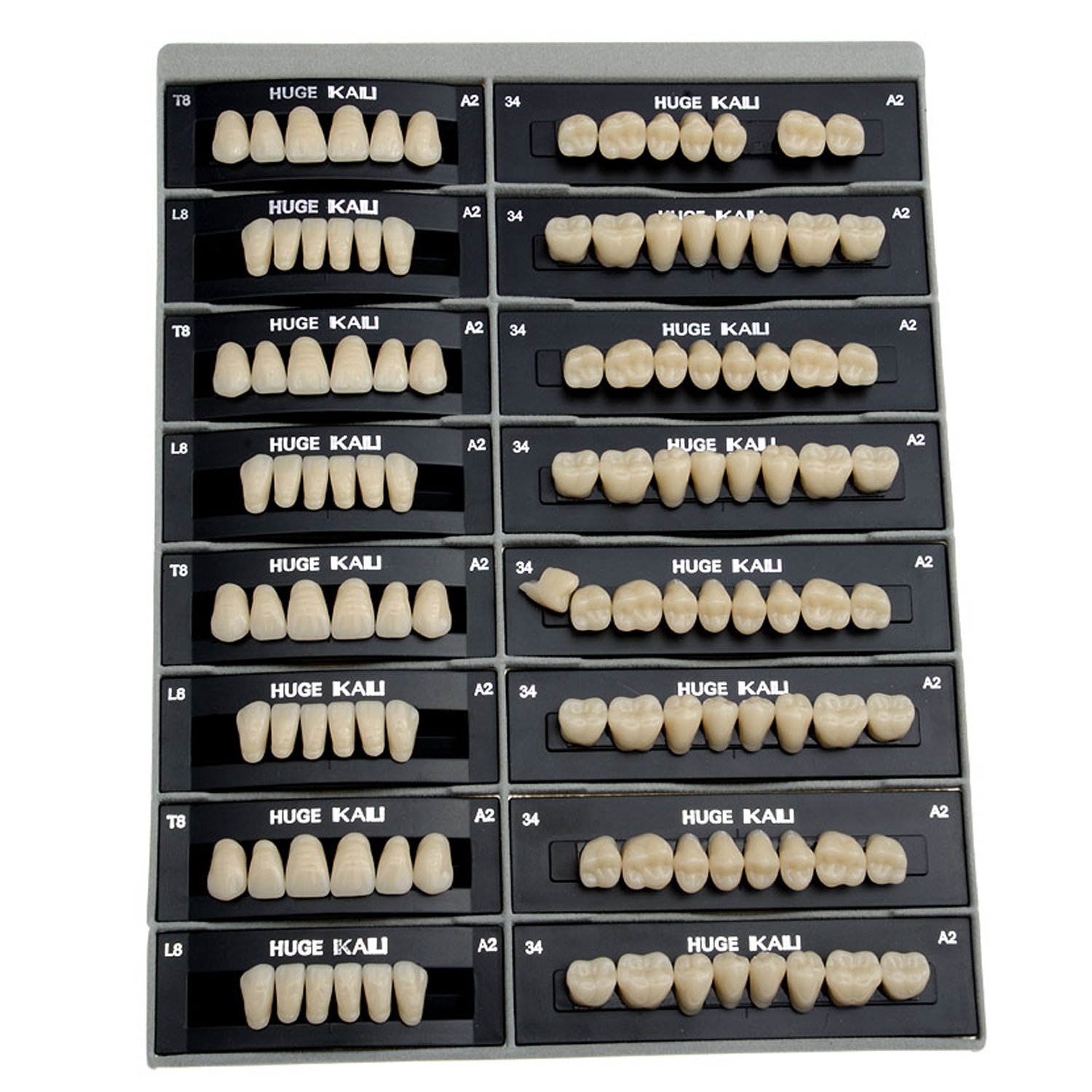 AZDENT Dental Synthetic Resin Tooth Denture T8-A2(28 units/4 suits) : Beauty