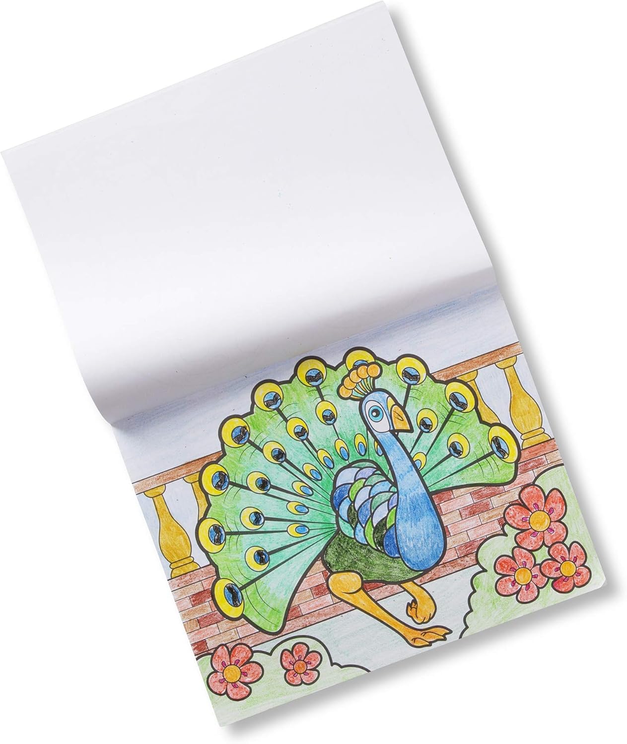 melissa and doug jumbo coloring pad