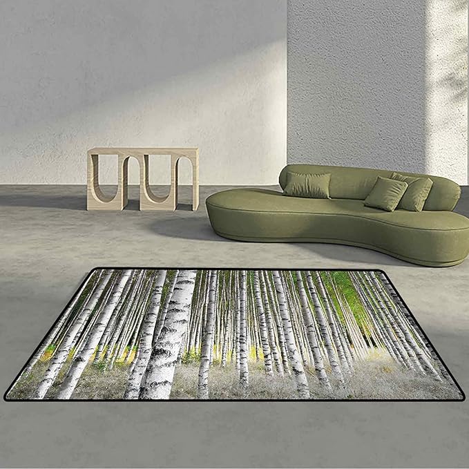 Birch Tree Soft Area Rug Peaceful Late Summer Woodland