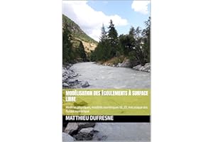 Modélisation des écoulements à surface libre: Modèles physiques, modèles numériques 1D, 2D, mécanique des fluides numérique (