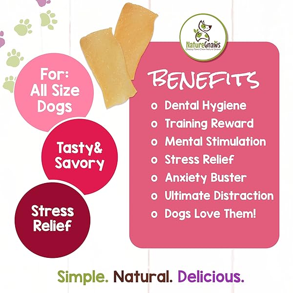 NATURE GNAWS PORK SKIN CHEWS FOR DOGS – PREMIUM NATURAL TASTY JERKY TREATS – LONG LASTING DOG CHEW BONES – RAWHIDE FREE