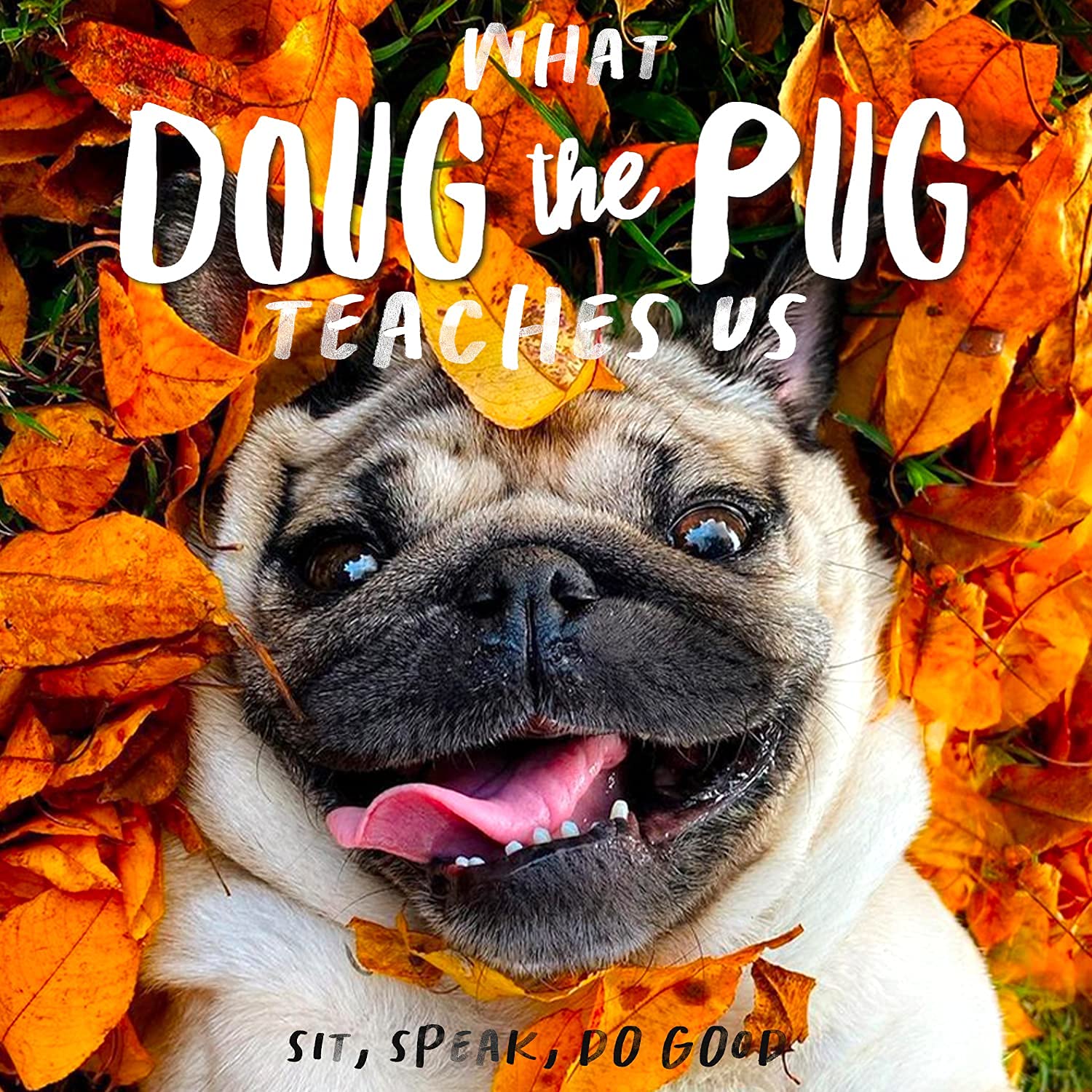 doug the pug amazon
