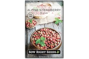 Sow Right Seeds - Regina Alpine Strawberry Seeds for Planting - Non-GMO Heirloom Packet with Instructions to Plant & Grow an Home Vegetable Garden - Bright Red Strawberry - Grows Early & Fast (1)