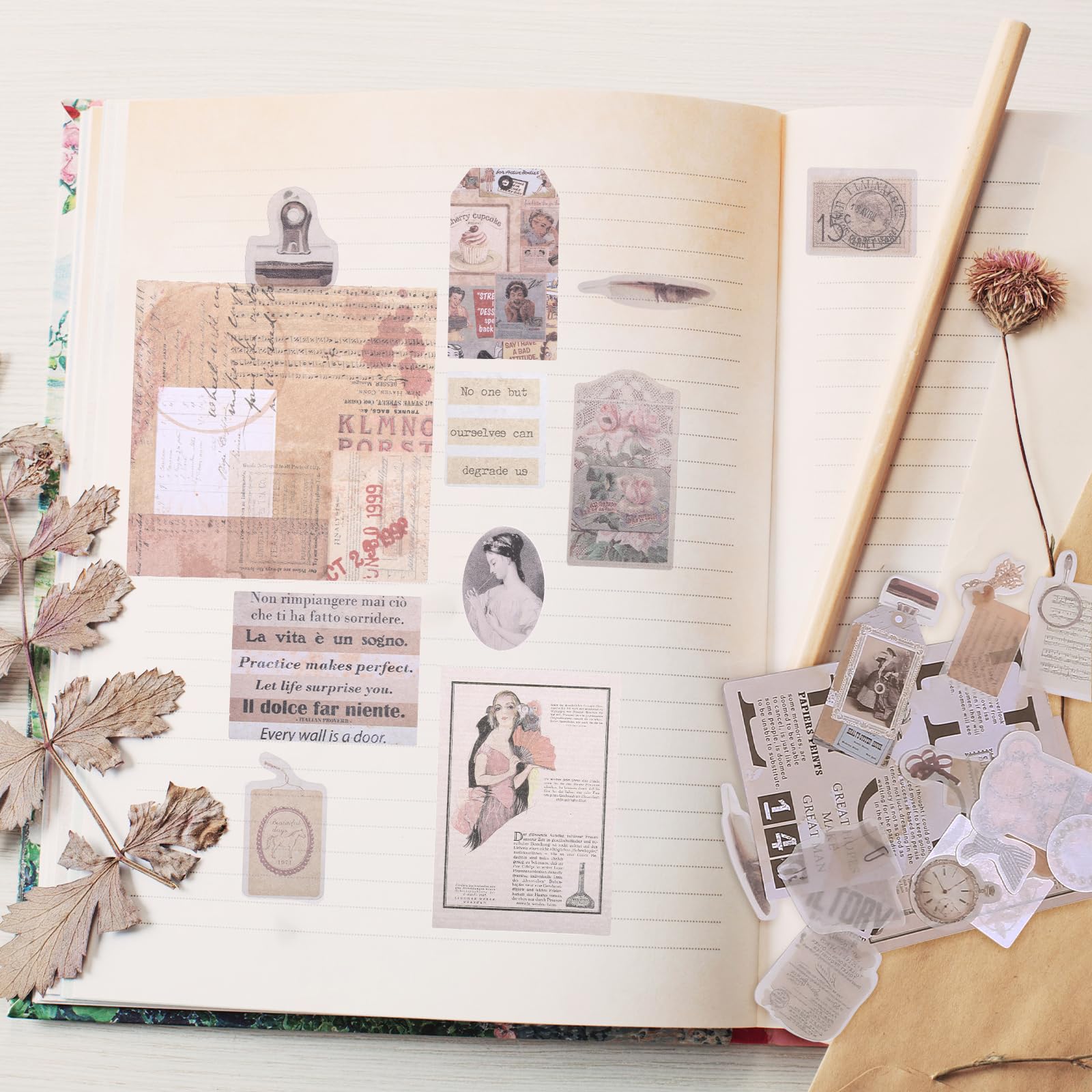 View 5