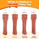 Nylabone Durable Power Dental Dog Chew Toys Twin Pack Large Beef Jerky & Chicken view 9
