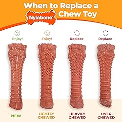 Nylabone Dental Dinosaur Power Chew Toy for