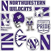 Desert Cactus Northwestern University Sticker Wildcats Vinyl Decals Laptop Water Bottle Car Scrapbook Sheet T2 (Type 2)