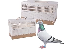 TOHONGADON Plastic Foldable Pigeon Cage with Handle, Portable Bird Travel Carrier Cage Pigeon Cage Pairing Cage Pigeon Nest Box Easy to Clean for Training and Release Competition(M)(Three Doors)