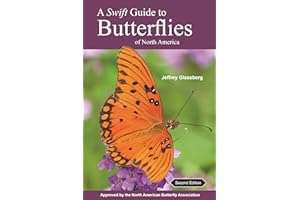 A Swift Guide to Butterflies of North America: Second Edition