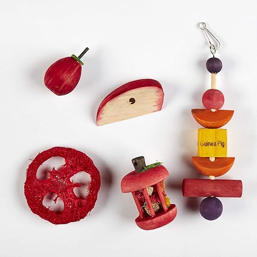 guinea pig toys amazon