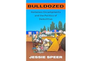 Bulldozed: Homeless Encampments and the Politics of Demolition